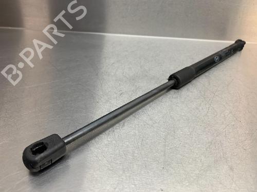 Tailgate lift support HYUNDAI i20 I (PB, PBT) 1.2 | BP13176231C138