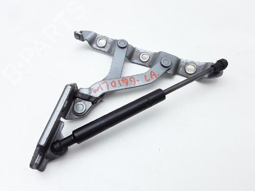 Used Hinge/Door check strap NISSAN 350Z Coupe (Z33) 3.5 (AAZ33) (280 hp) 13174008