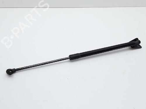 Used Tailgate lift support CHEVROLET CAPTIVA (C100, C140) 2.4 4WD (136 hp) 13170858