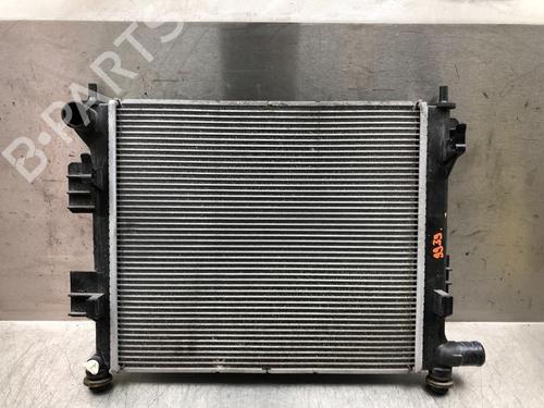 Used Water radiator Water radiator HYUNDAI i10 II (BA, IA) 1.0 (67 hp) 13009267 13009267