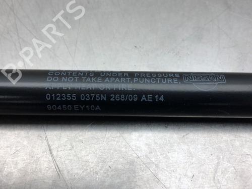 Tailgate lift support NISSAN QASHQAI / QASHQAI +2 I (J10, NJ10, JJ10E) 2.0 | BP15294324C138 