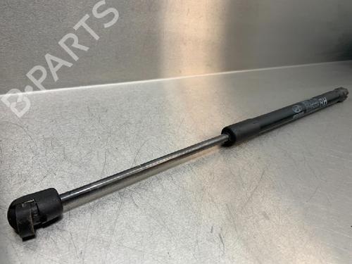 Tailgate lift support HYUNDAI i20 I (PB, PBT) 1.2 | BP13176236C138 