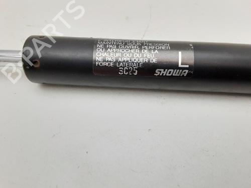 Tailgate lift support SUBARU FORESTER (SG_) 2.0 S Turbo AWD (SG5) | BP13172229C138 