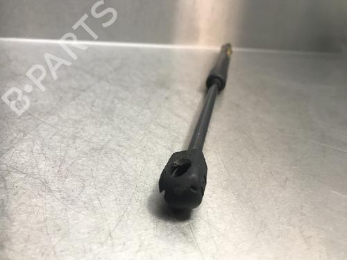 Tailgate lift support HYUNDAI i20 I (PB, PBT) 1.1 CRDi | BP13176323C138