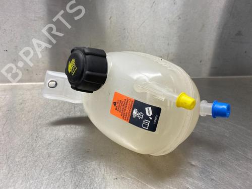 Used Expansion tank NISSAN MICRA V (K14) 1.0 IG-T 100 (101 hp) 11753597