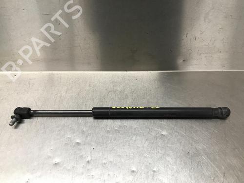 Used Hood lift support NISSAN MURANO II (Z51) 3.5 4x4 (256 hp) 14933701