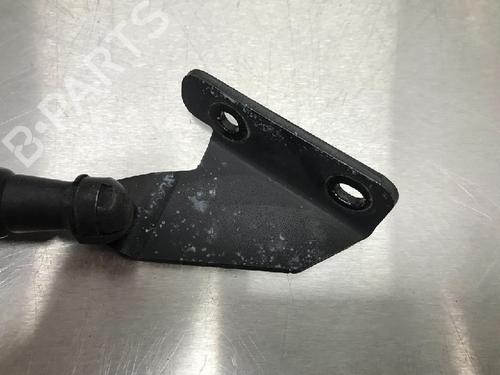 Tailgate lift support NISSAN QASHQAI / QASHQAI +2 I (J10, NJ10, JJ10E) 1.6 | BP13179049C138 