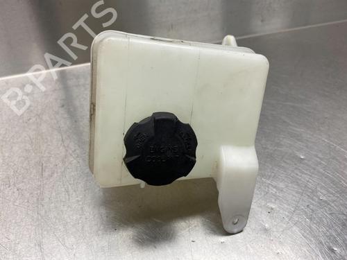 Used Expansion tank HYUNDAI i20 I (PB, PBT) 1.2 (78 hp) 10858671