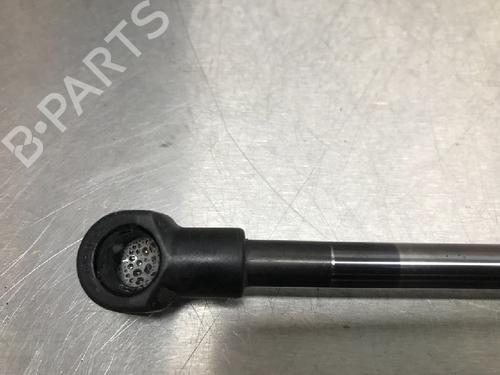 Tailgate lift support NISSAN QASHQAI / QASHQAI +2 I (J10, NJ10, JJ10E) 1.6 | BP13179049C138 
