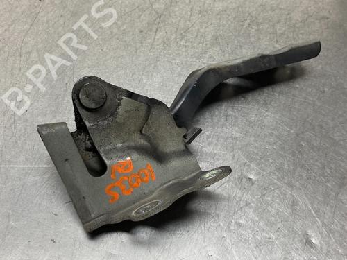 Hinge/Door check strap HYUNDAI i10 I (PA) 1.1 | BP13184994C146 