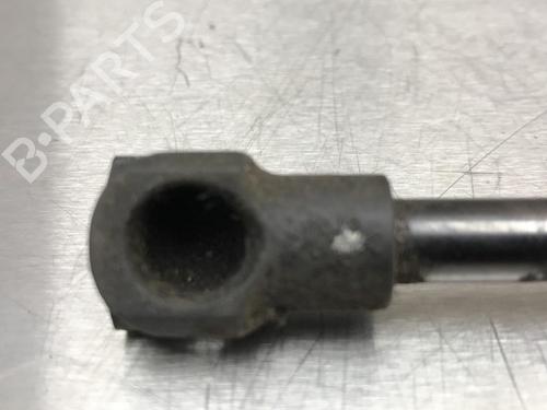 Tailgate lift support CHEVROLET AVEO Hatchback (T300) 1.3 D | BP13185969C138