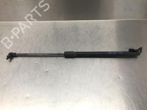 Tailgate lift support CHEVROLET AVEO Hatchback (T300) 1.3 D | BP13182222C138 