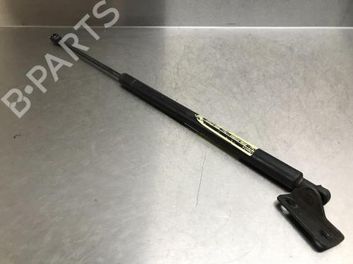Tailgate lift support HYUNDAI SANTA FÉ I (SM) 2.0 | BP13179283C138 