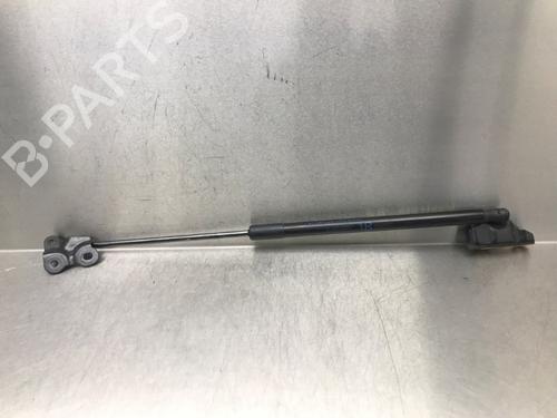 tailgate-lift-support-toyota-corolla-hatchback-_e21_-_ea1_-_eh1_-2018-30737288 main image