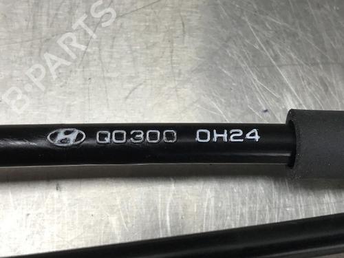 Kabel HYUNDAI i20 III (BC3, BI3) 1.0 T-GDI hybrid 48V | BP13184490E12 
