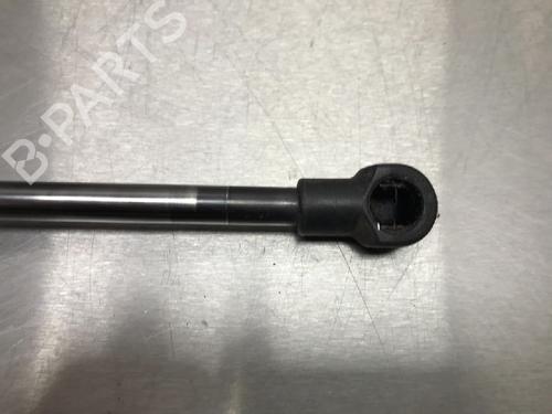 Tailgate lift support NISSAN QASHQAI / QASHQAI +2 I (J10, NJ10, JJ10E) 1.6 | BP13179050C138 