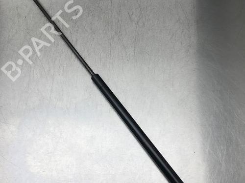 Used Tailgate lift support NISSAN JUKE (F15) 1.6 (117 hp) 13185482