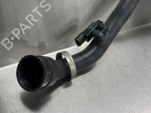 Pipe NISSAN NV200 Van 1.5 dCi 90 (M20, M20N, M20M) | BP15846459M125 
