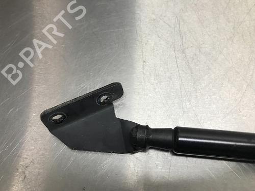 Tailgate lift support NISSAN QASHQAI / QASHQAI +2 I (J10, NJ10, JJ10E) 1.6 | BP13179050C138 