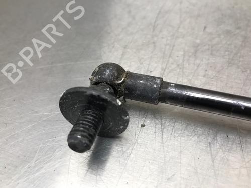 Hood lift support TOYOTA LAND CRUISER PRADO (_J12_) 3.0 D-4D (KDJ120, KDJ125) | BP13186227C139 