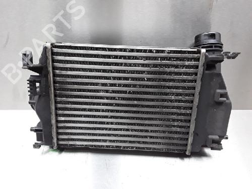Used Intercooler NISSAN QASHQAI II SUV (J11, J11_) 1.5 dCi (110 hp) 10843440
