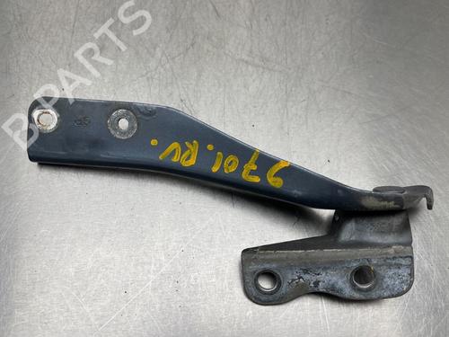Hinge/Door check strap DAIHATSU COPEN (L880_, L881_) 1.3 | BP13179597C146 