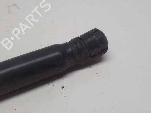 Tailgate lift support KIA PICANTO II (TA) 1.0 | BP13153455C138 