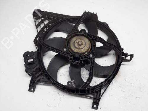 radiator-fan-nissan-primera-hatchback-p12-19-dci-8131x31n-2002-11071079 main image