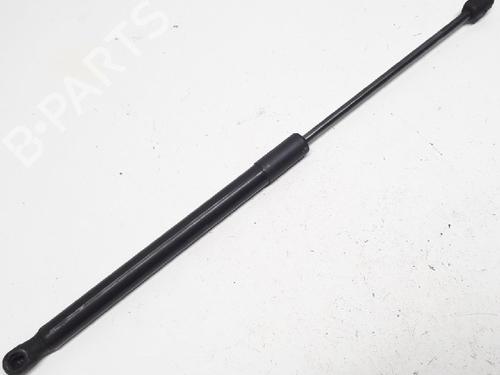 Used Tailgate lift support RENAULT MEGANE III Grandtour (KZ0/1) 1.5 dCi (KZ09, KZ0D, KZ1G, KZ29, KZ14, KZ1W, KZ10, KZ1F,... (110 hp) 13152791