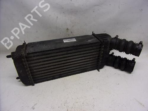 Used Intercooler CITROËN C3 I (FC_, FN_) 1.6 16V HDi (90 hp) 11068003