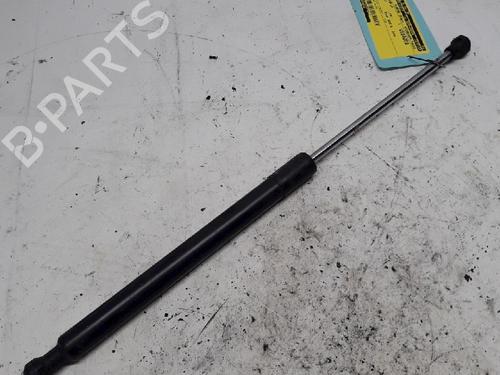 Used Tailgate lift support RENAULT CLIO III (BR0/1, CR0/1) 1.5 dCi (C/BR0G, C/BR1G) (68 hp) 13152338