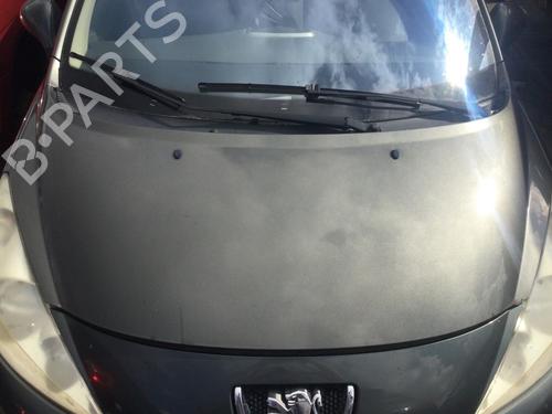 Used Hood PEUGEOT 207 (WA_, WC_) 1.4 16V (88 hp) 29980668