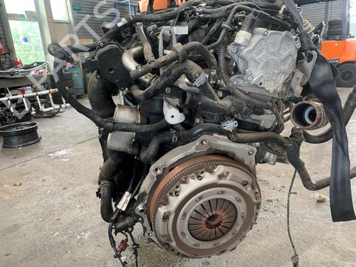 Used Engine Engine VW CADDY III Box Body/MPV (2KA, 2KH, 2CA, 2CH) 1.6 TDI (75 hp) 36651480 36651480