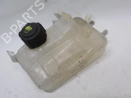 Expansion tank RENAULT MEGANE III Coupe (DZ0/1_) 1.5 dCi (DZ0C, DZ1A) | BP11065787C120 