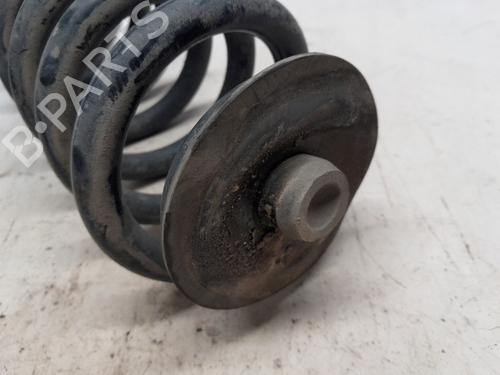 Shock absorber spring BMW X5 (E53) 3.0 d | BP24135051C152 