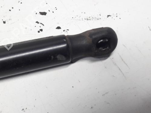 Tailgate lift support FORD FIESTA VI (CB1, CCN) 1.25 | BP13153213C138 