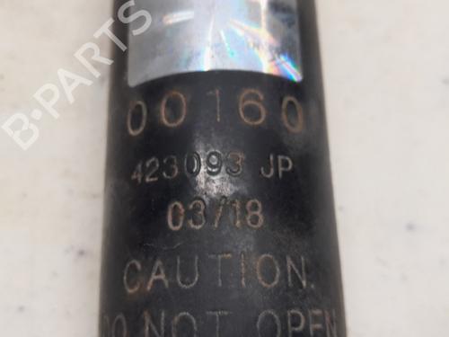 Right rear shock absorber FIAT 500 (312_) 1.2 (312AXA1A) | BP11815588M19 