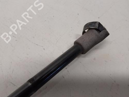 Tailgate lift support BMW X5 (E53) 3.0 d | BP13626406C138 