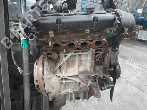 Used Engine Engine FORD FIESTA VI (CB1, CCN) 1.25 (82 hp) 33448739 33448739