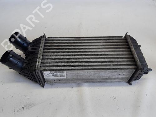 Used Intercooler CITROËN C4 CACTUS 1.6 BlueHDi 100 (99 hp) 27406327