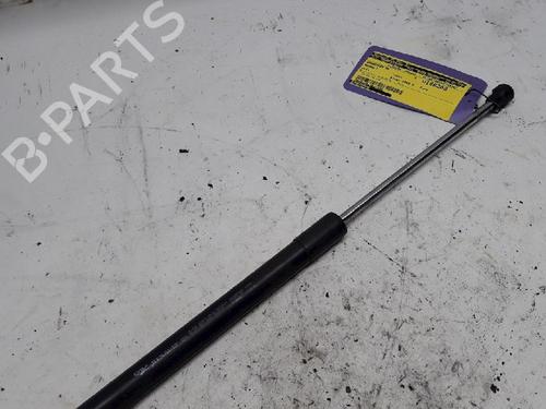 Used Tailgate lift support RENAULT CLIO III (BR0/1, CR0/1) 1.5 dCi (C/BR0G, C/BR1G) (68 hp) 13152339