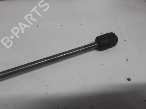 Tailgate lift support FORD FIESTA VI (CB1, CCN) 1.0 | BP13153548C138 