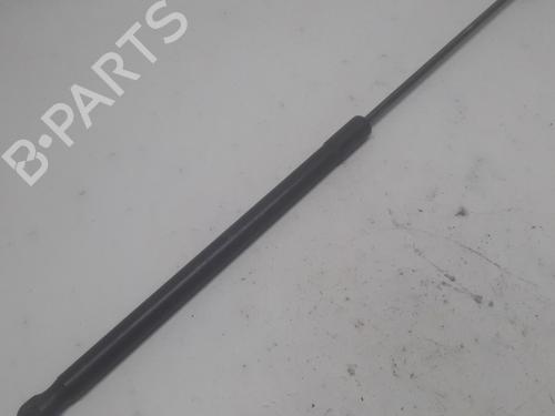 Used Tailgate lift support FORD FIESTA VI (CB1, CCN) 1.25 (82 hp) 13154189