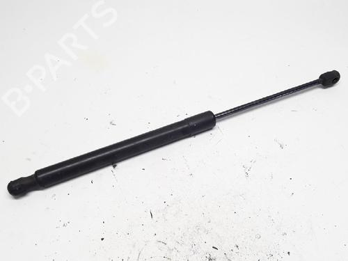 Gasdæmper bagklap VW GOLF V (1K1) 1.9 TDI (105 hp) 13152763