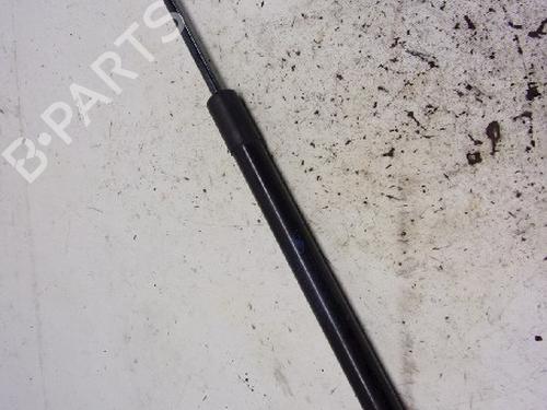 Used Tailgate lift support RENAULT MEGANE III Hatchback (BZ0/1_, B3_) 1.5 dCi (BZ09, BZ0D, BZ1W, BZ29, BZ14) (110 hp) 13151929