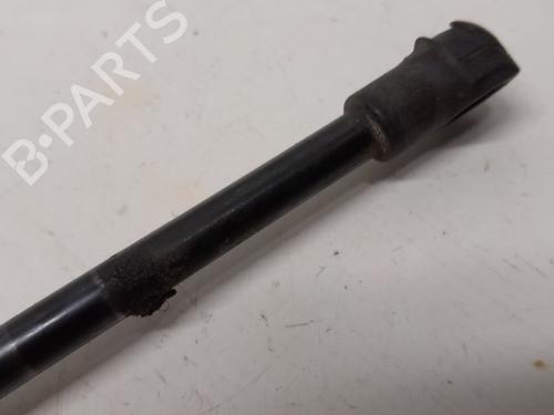 Tailgate lift support BMW X5 (E53) 3.0 d | BP13626408C138 