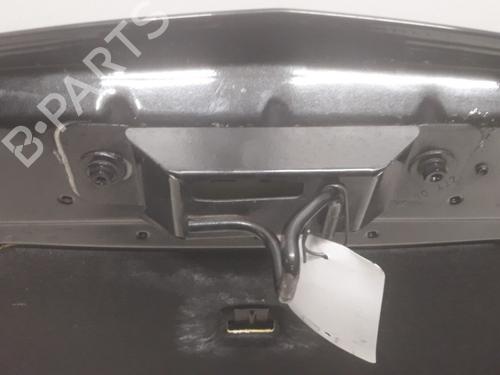 Hood RENAULT CLIO III (BR0/1, CR0/1) 1.4 16V | BP11076675C1 