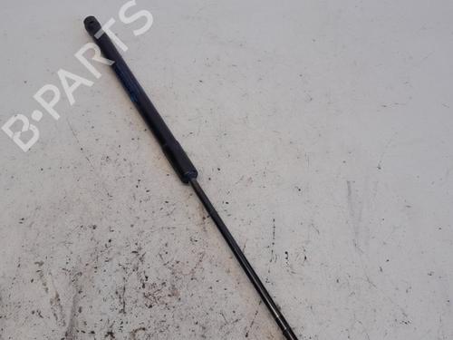Used Tailgate lift support PEUGEOT 3008 I MPV (0U_) 1.6 HDi (109 hp) 13520253