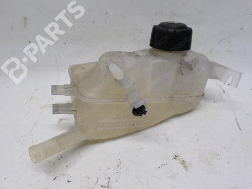Used Expansion tank Expansion tank RENAULT MEGANE III Hatchback (BZ0/1_, B3_) 1.6 16V (BZ1B, BZ1H) (110 hp) 11064211 11064211