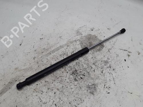 Used Tailgate lift support RENAULT CLIO III (BR0/1, CR0/1) 1.5 dCi (BR17, CR17) (86 hp) 13152325
